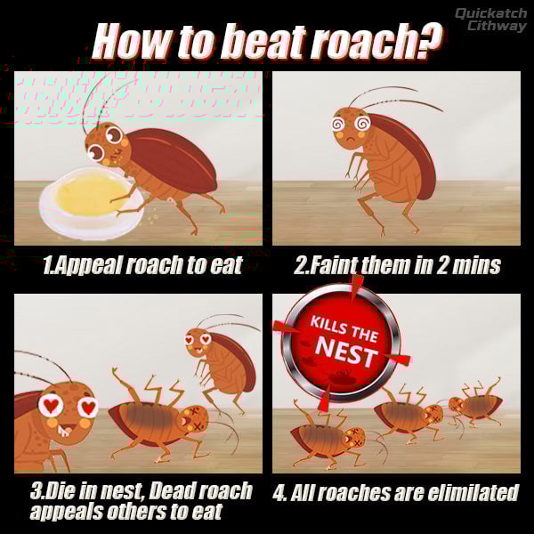 RoachGuard Cockroach Killer Gel - Pack of 24