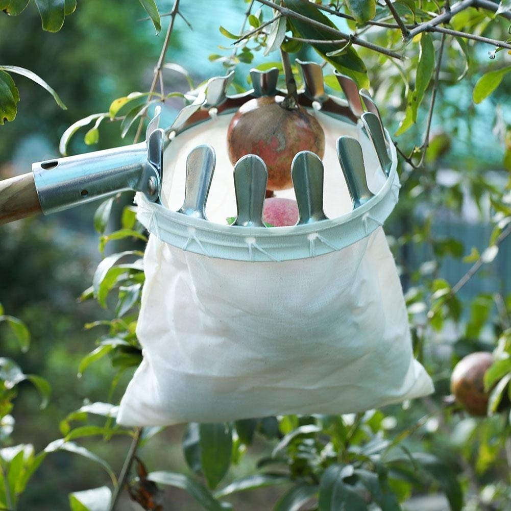 BranchPro Fruit Picking Tool With Storage Bag