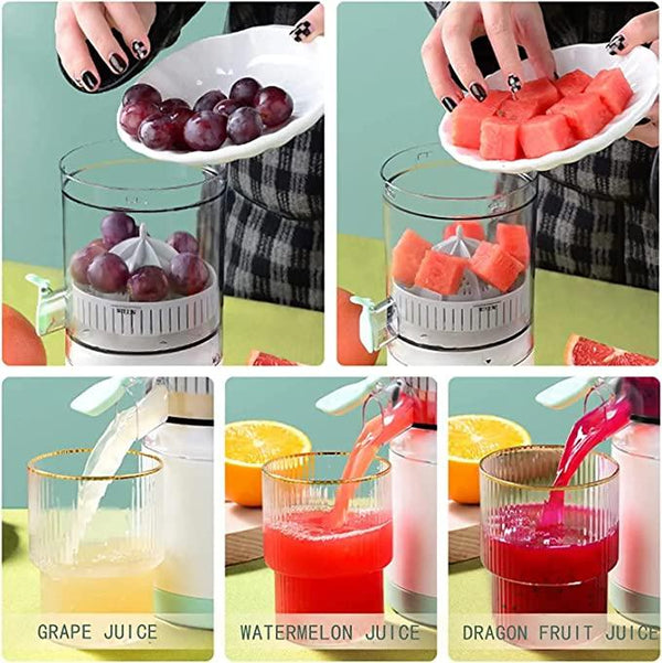 JuiceIT Travel Friendly Portable Mini Juice Blender