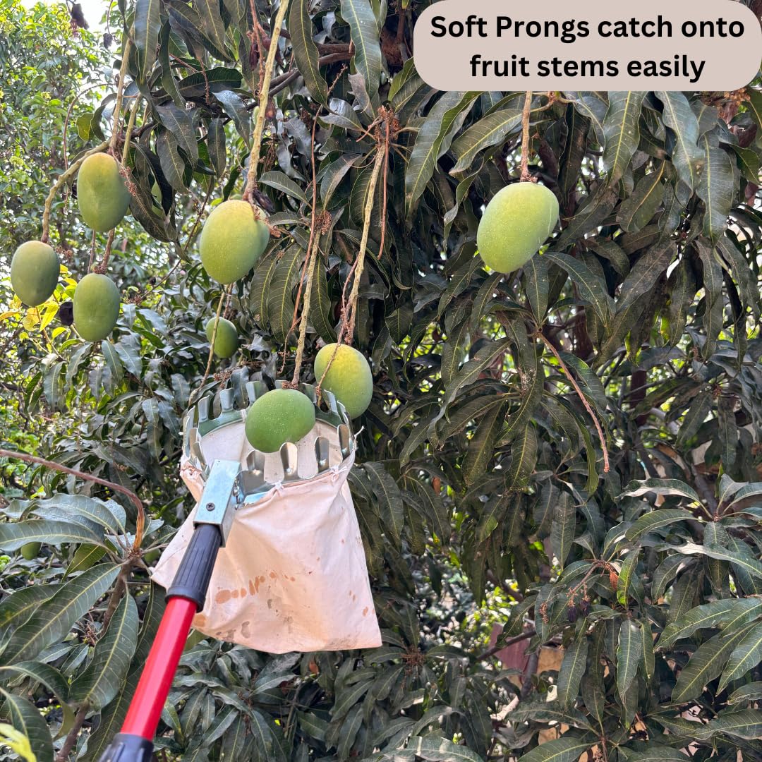 BranchPro Fruit Picking Tool With Storage Bag