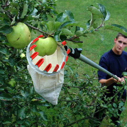 BranchPro Fruit Picking Tool With Storage Bag